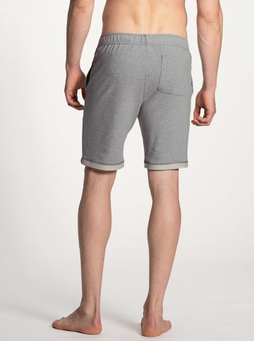 Calida Bermudas in Grau