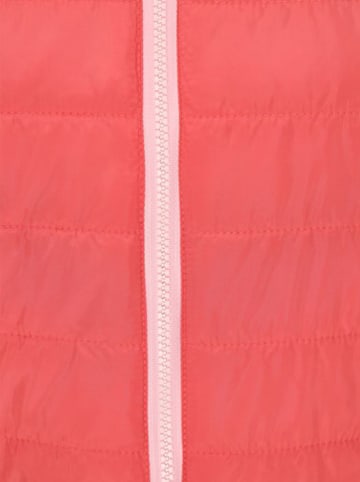 Schmuddelwedda Steppjacke in Orange/ Weiß