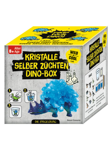 Die Spiegelburg DIY-Set "Dino-Box" - ab 8 Jahren