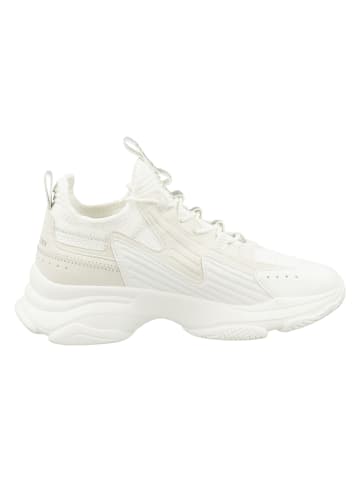 Steve Madden Sneakers wit