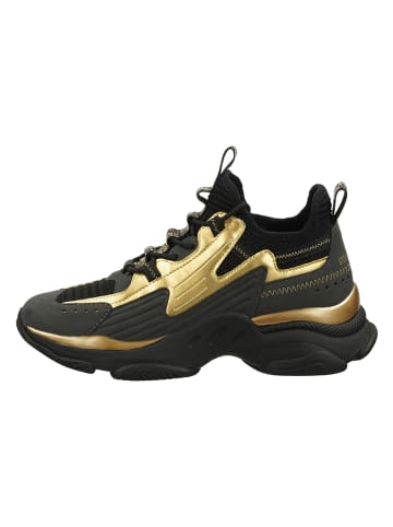 Steve Madden Sneakers in Schwarz/ Gold