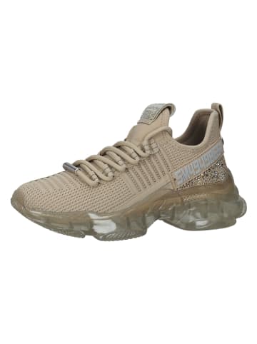 Steve Madden Sneakers in Beige