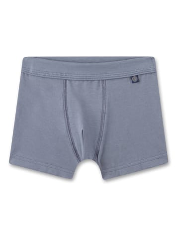 Sanetta 2er-Set: Boxershorts in Blau/ Hellbraun