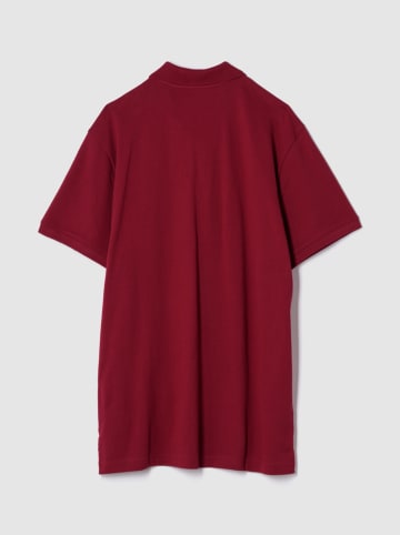 GAP Poloshirt in Bordeaux