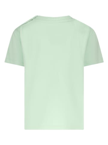 The New Chapter Shirt "Bo" in Grün