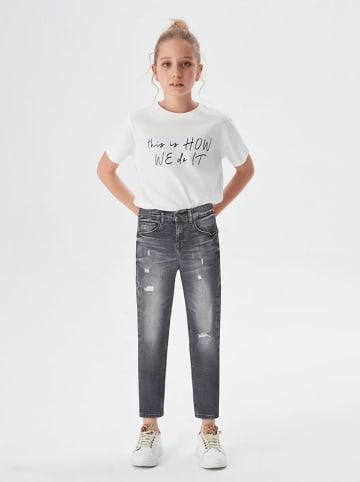 LTB Jeans "Amy G" - Mom fit - in Anthrazit