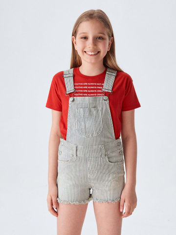 LTB Jeans-Latzshorts "Lorella" G in Grau
