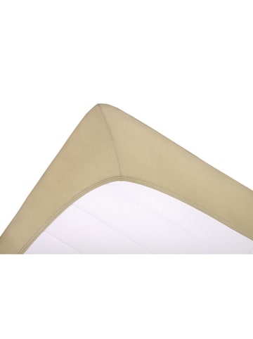 ESPRIT Spannbettlaken in Taupe