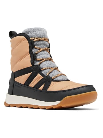 Sorel Winterboots "WHITNEY II Plus" lichtbruin/zwart