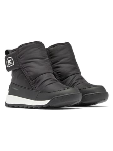 Sorel Botki "Whitney" w kolorze czarnym