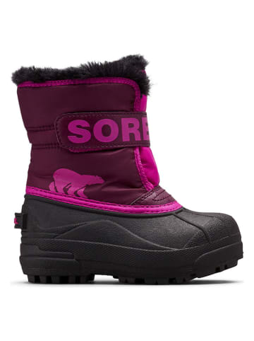 Sorel Botki zimowe "Snow Commander" w kolorze fioletowo-różowym
