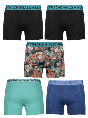 Muchachomalo 5er-Set: Boxershorts in Bunt