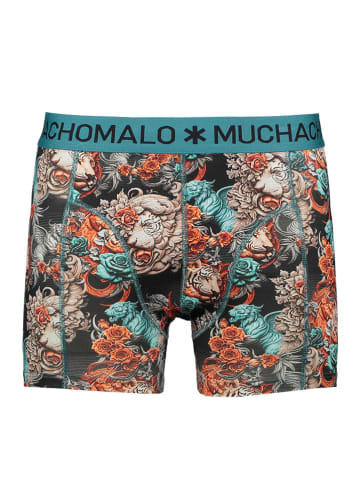 Muchachomalo 5er-Set: Boxershorts in Bunt