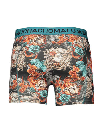 Muchachomalo 5er-Set: Boxershorts in Bunt