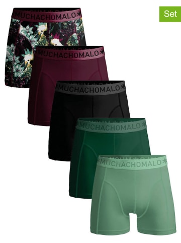 Muchachomalo 5-delige set: boxershorts zwart/bordeaux/groen