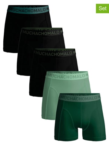 Muchachomalo 5-delige set: boxershorts zwart/groen