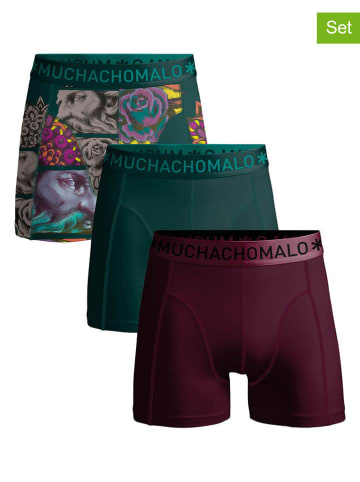 Muchachomalo 3er-Set: Boxershorts in Bordeaux/ Grün