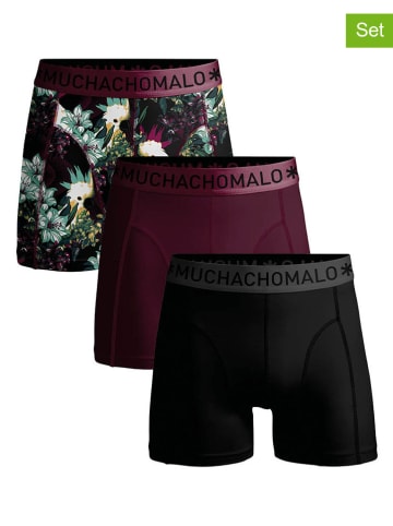 Muchachomalo 3er-Set: Boxershorts in Schwarz/ Bordeaux