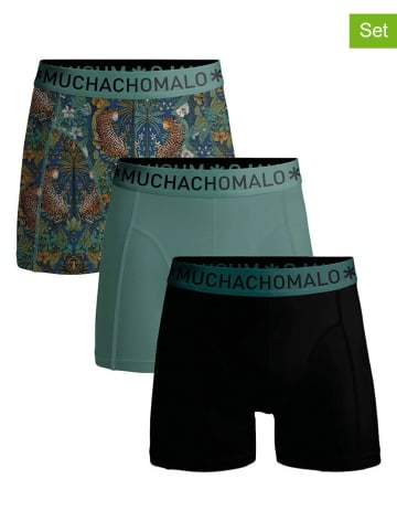 Muchachomalo 3er-Set: Boxershorts in Schwarz/ Grün