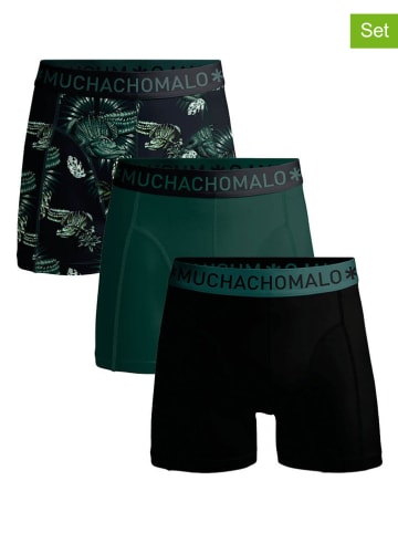 Muchachomalo 3er-Set: Boxershorts in Schwarz/ Grün