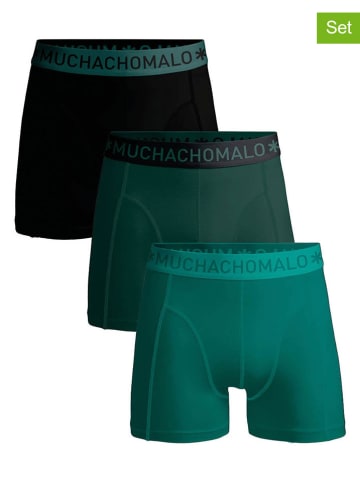 Muchachomalo 3er-Set: Boxershorts in Schwarz/ Grün