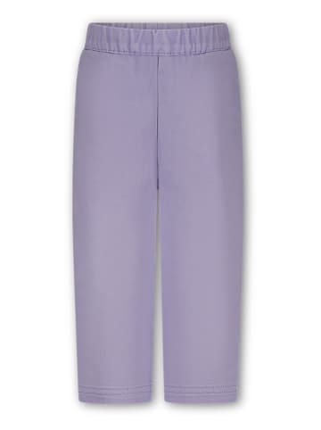 The New Chapter Broek "Atlas" paars