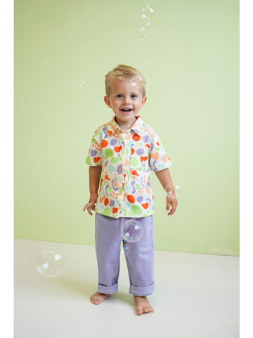 The New Chapter Broek "Atlas" paars