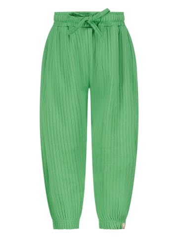 The New Chapter Sweatbroek "Tate" groen