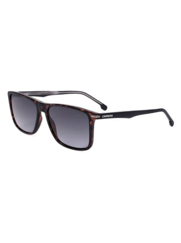 Carrera Herenzonnebril bruin/donkerblauw