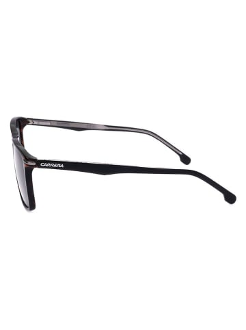 Carrera Herenzonnebril bruin/donkerblauw