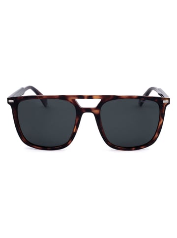 Polaroid Herren-Sonnenbrille in Braun/ Schwarz