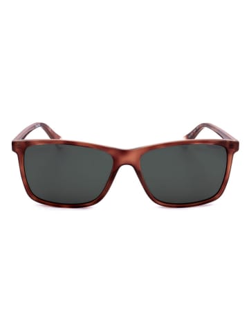 Polaroid Herren-Sonnenbrille in Hellbraun/ Schwarz