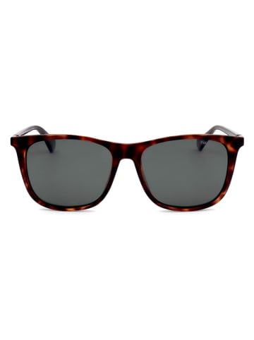 Polaroid Herren-Sonnenbrille in Braun/ Grau