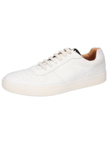 MELVIN & HAMILTON Leder-Sneakers "Jesper 1" in Weiß