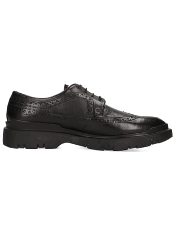 MELVIN & HAMILTON Leder-Schnürschuhe "Denison 1" in Schwarz