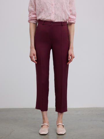 BGN Broek bordeaux