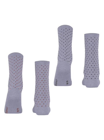ESPRIT 2-delige set: sokken ''Fine Dot'' paars/lichtbruin