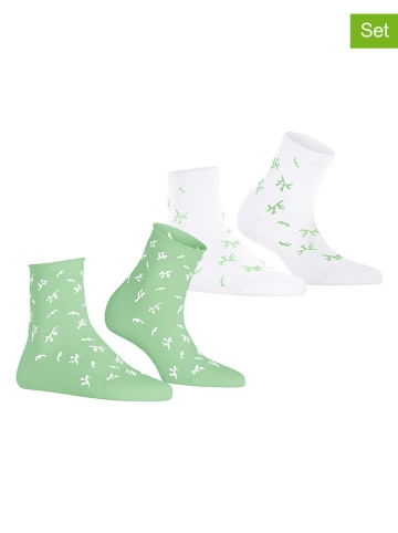 ESPRIT 2er-Set: Socken ''Twig'' in Hellgrün/ Weiß