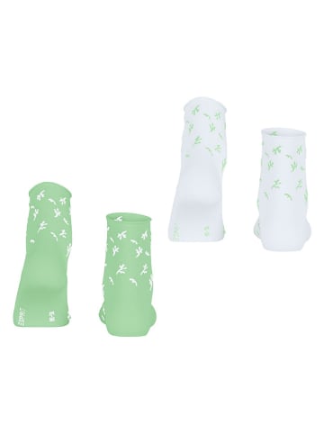 ESPRIT 2er-Set: Socken ''Twig'' in Hellgrün/ Weiß