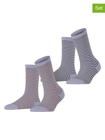 ESPRIT 2er-Set: Socken ''Fine Line'' in Hellblau/ Hellbraun/ Anthrazit