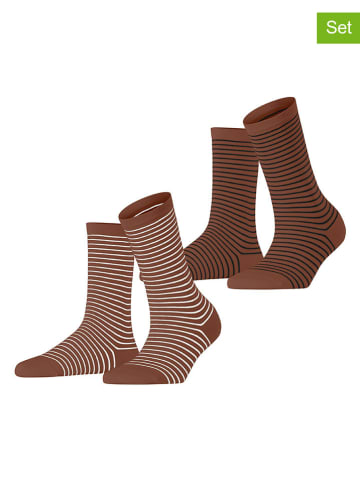 ESPRIT 2-delige set: sokken ''Fine Line'' lichtbruin/wit/zwart