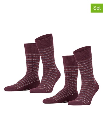 ESPRIT 2er-Set: Socken ''Piqué'' in Bordeaux