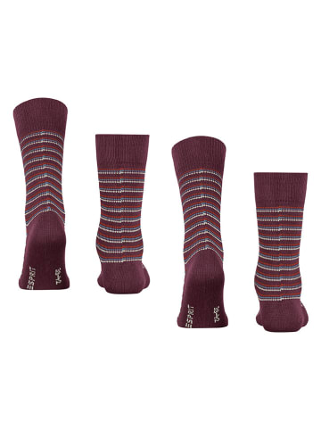 ESPRIT 2er-Set: Socken ''Piqué'' in Bordeaux