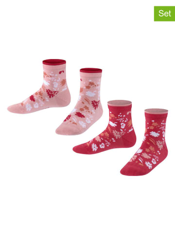 ESPRIT 2-delige set: sokken "Sweet Flower" rood/lichtroze