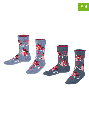 ESPRIT 2er-Set: Socken "Hedgehog" in Hellblau/ Anthrazit