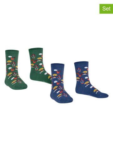 ESPRIT 2-delige set: sokken ''Fungus'' blauw/groen