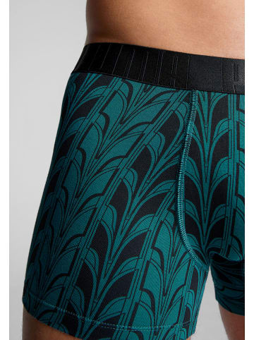 Puma 2er-Set: Boxershorts in Schwarz/ Grün