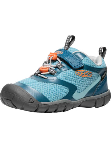 Keen Wanderschuhe "Tread Rover" in Hellblau