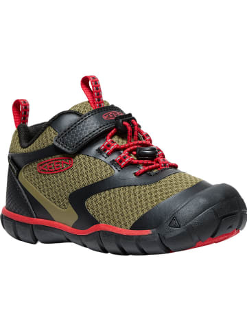 Keen Wanderschuhe "Tread Rover" in Khaki