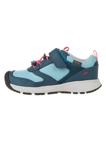 Keen Sneakers in Blau